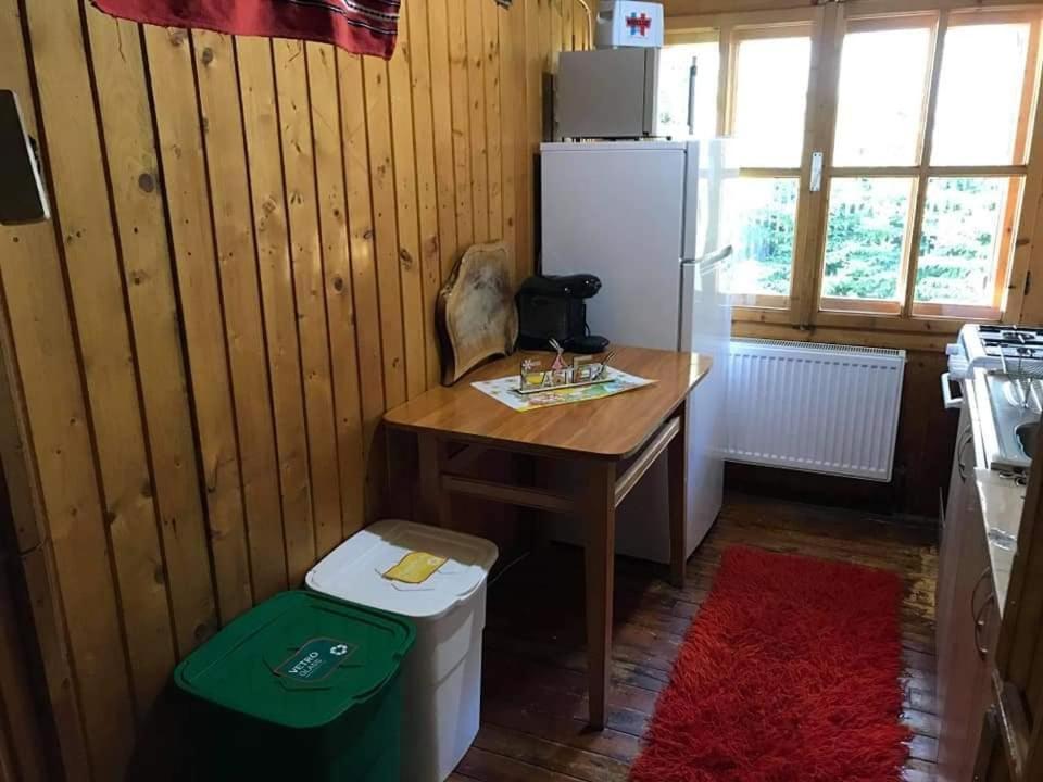 Cabana Sabrina Villa Bran  Eksteriør bilde