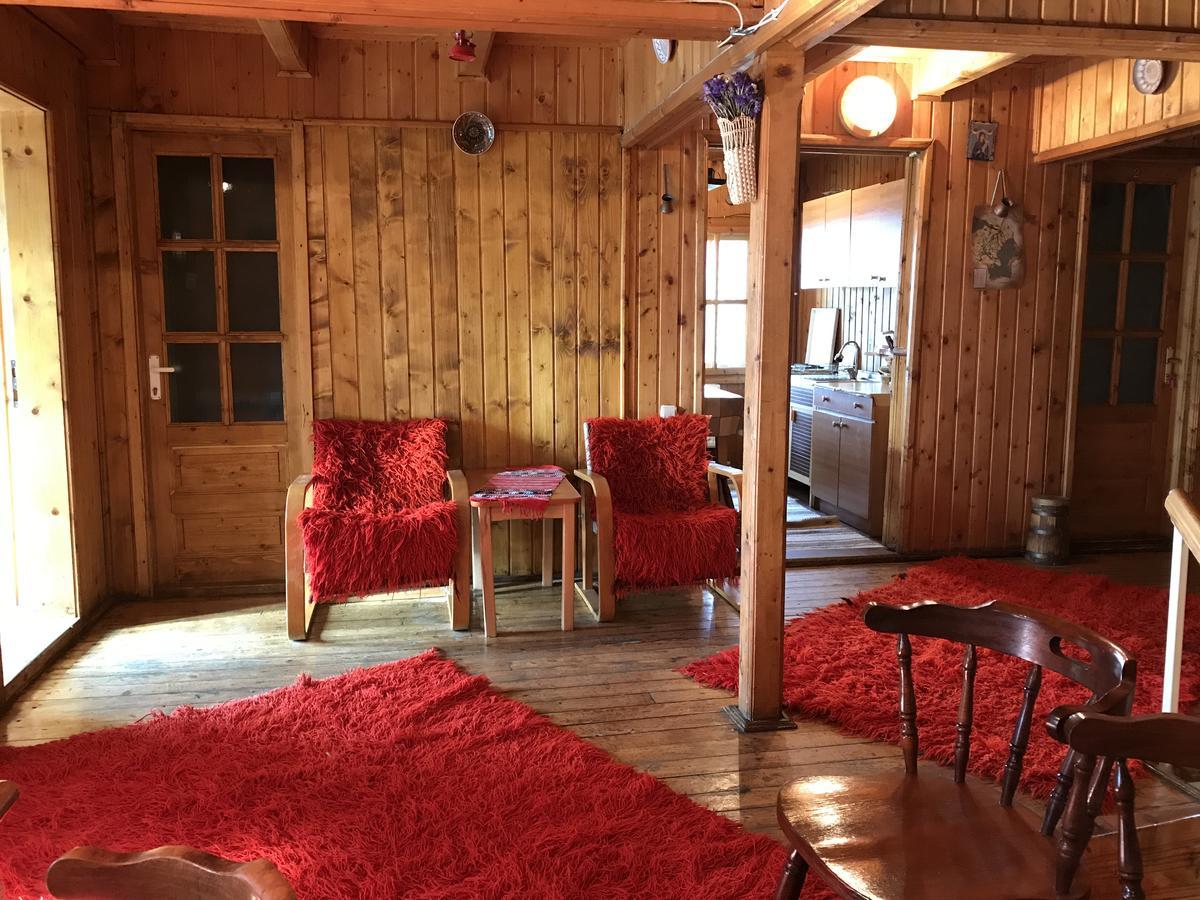Cabana Sabrina Villa Bran  Eksteriør bilde