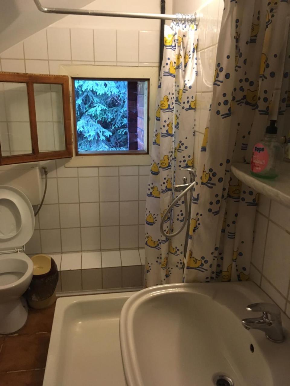 Cabana Sabrina Villa Bran  Eksteriør bilde